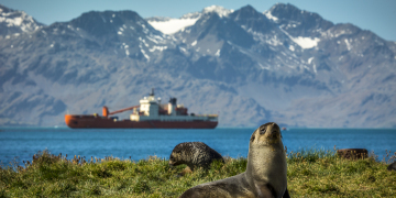 Antarctic Circumnavigation Expedition