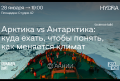 Фотография события: Science talk c учёными ААНИИ «Арктика vs Антарктика: куда ехать, чтобы понять, как меняется климат»